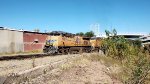 UP 8100